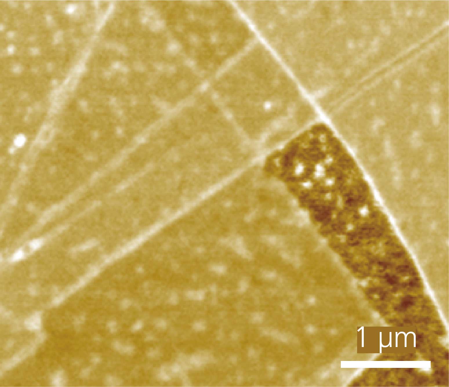 Multi-Layered Graphene on hBN microscopy image