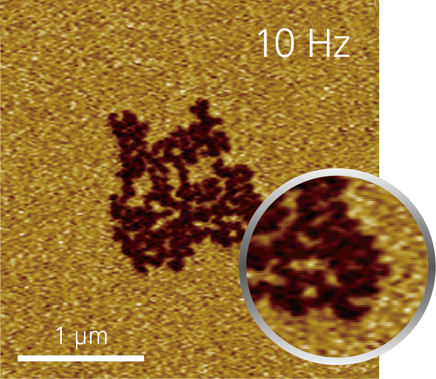 10 Hz