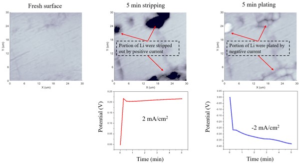 ModeNote ec afm fig5