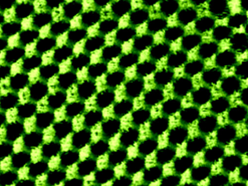 WSe₂ on Graphene