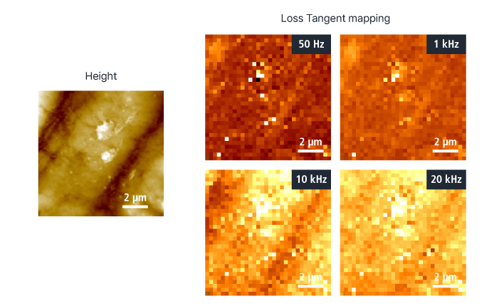 Dynamic Mechanical Analysis